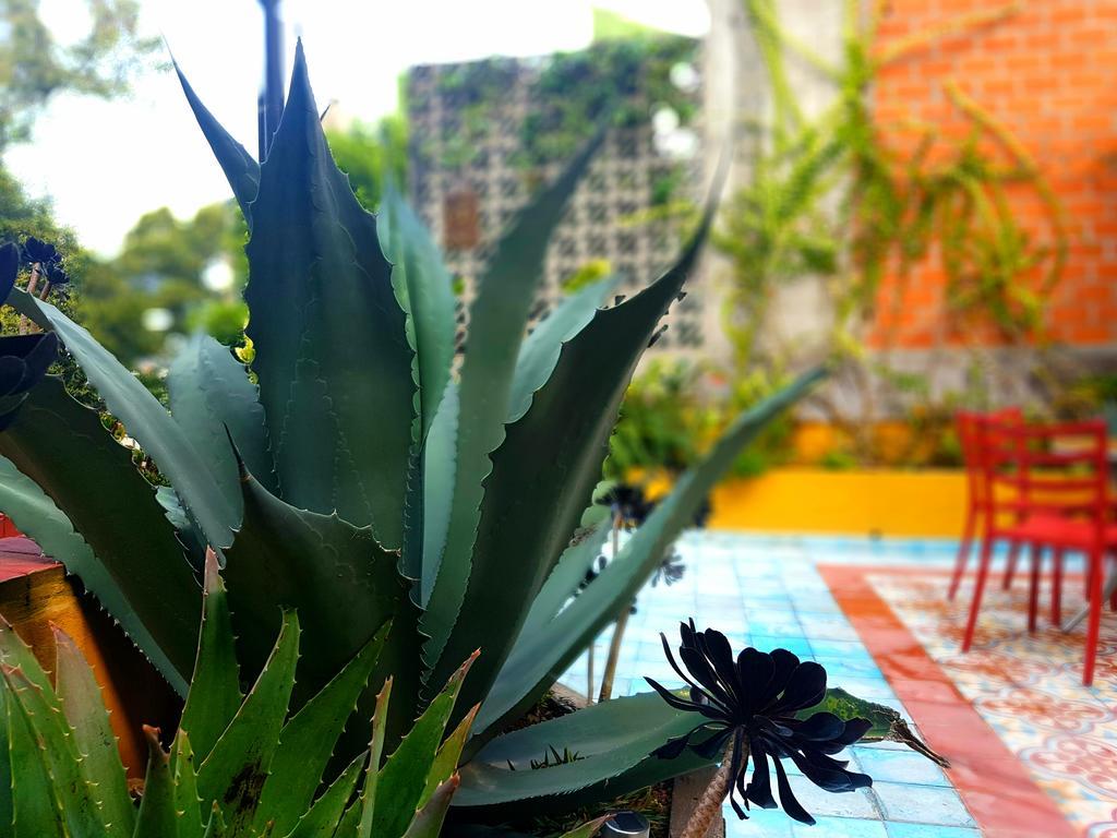 La Querencia Df Panzió Mexikóváros Kültér fotó